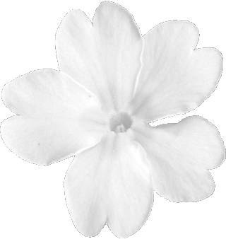 primrose logo
